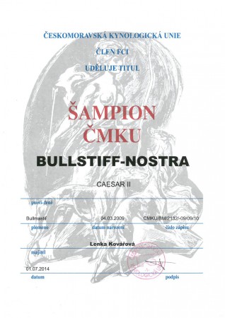 Bullstiff-Nostra Caesar II - Šampion ČMKU